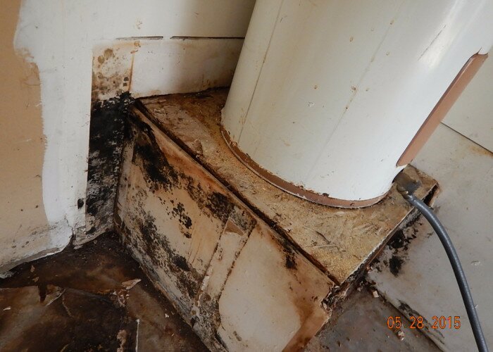 leaking water heater causing damage drywall with mold at arlington office